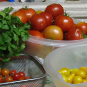 Meet your Posher, Patty